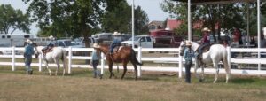 Kids and horses in the leadline equitation class.